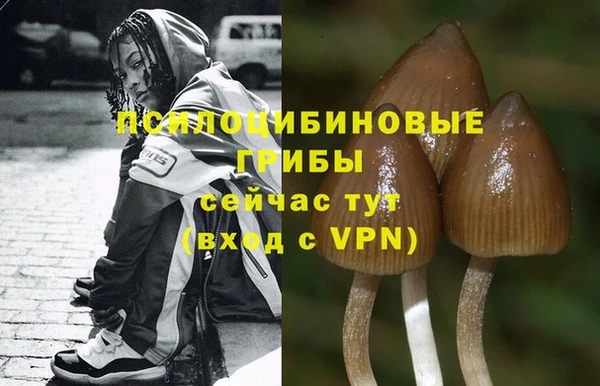 ALPHA PVP Верея