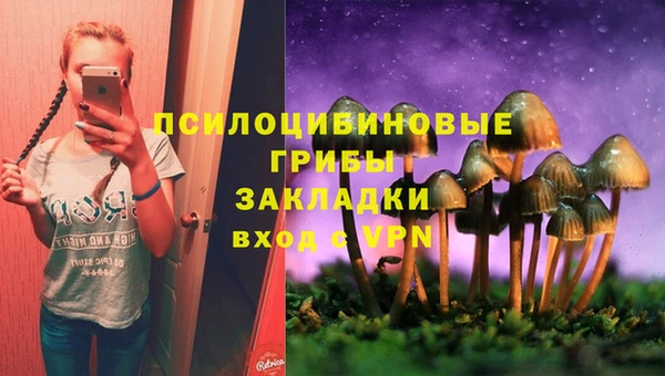 мяу мяу мука Верхнеуральск