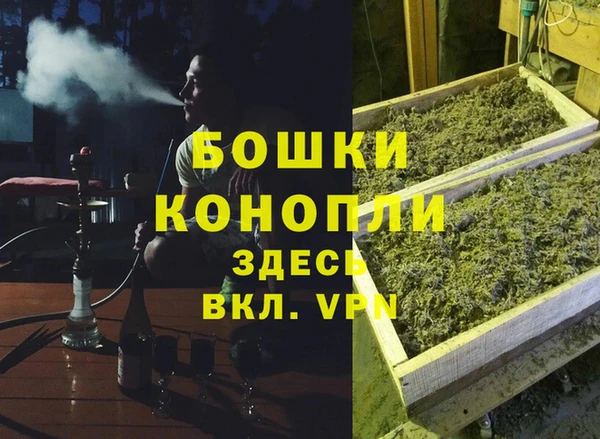 ALPHA PVP Верея