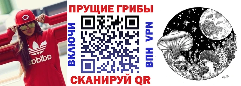Галлюциногенные грибы MAGIC MUSHROOMS  Медногорск 